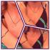 Parure cordon